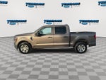 2023 F-150 Thumbnail 5