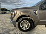 2023 F-150 Thumbnail 11