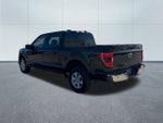 2023 F-150 Thumbnail 8