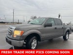 2010 F-150 Thumbnail 1
