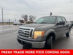 2010 F-150 Thumbnail 2