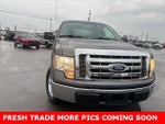 2010 F-150 Thumbnail 4