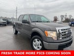 2010 F-150 Thumbnail 5