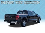 2023 F-150 Thumbnail 5