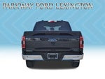 2023 F-150 Thumbnail 6