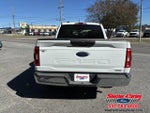 2023 F-150 Thumbnail 5