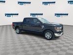 2023 F-150 Thumbnail 2