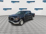 2023 F-150 Thumbnail 4
