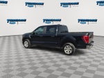 2023 F-150 Thumbnail 6