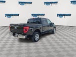 2023 F-150 Thumbnail 8