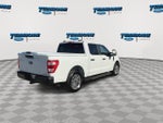2021 F-150 Thumbnail 8