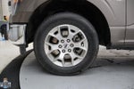 2023 F-150 Thumbnail 8