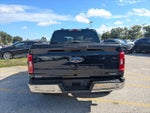 2023 F-150 Thumbnail 6