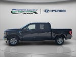 2023 F-150 Thumbnail 5