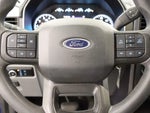 2023 F-150 Thumbnail 10