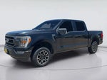 2021 F-150 Thumbnail 4