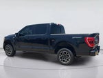 2021 F-150 Thumbnail 5