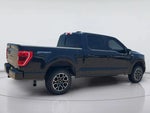2021 F-150 Thumbnail 7