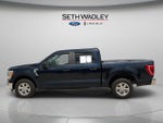 2021 F-150 Thumbnail 4
