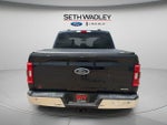 2021 F-150 Thumbnail 6