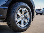 2021 F-150 Thumbnail 9
