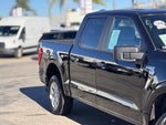 2023 F-150 Thumbnail 5
