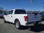 2017 F-150 Thumbnail 6