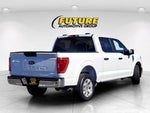 2023 F-150 Thumbnail 4
