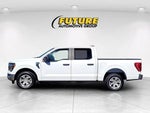 2023 F-150 Thumbnail 7