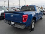 2023 F-150 Thumbnail 6