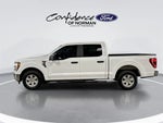 2023 F-150 Thumbnail 4