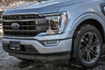 2021 F-150 Thumbnail 2