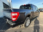 2022 F-150 Thumbnail 4