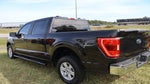 2023 F-150 Thumbnail 6