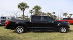 2023 F-150 Thumbnail 9