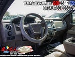 2010 F-150 Thumbnail 7