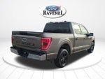 2023 F-150 Thumbnail 4