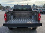 2023 F-150 Thumbnail 13