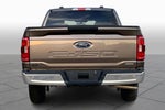 2023 F-150 Thumbnail 4