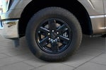 2023 F-150 Thumbnail 10
