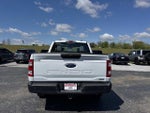 2023 F-150 Thumbnail 6
