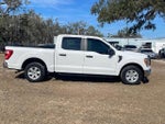 2021 F-150 Thumbnail 6