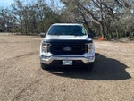 2021 F-150 Thumbnail 8