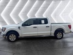 2021 F-150 Thumbnail 3