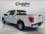 2021 F-150 Thumbnail 4