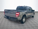 2021 F-150 Thumbnail 6