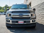 2019 F-150 Thumbnail 2