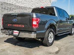2019 F-150 Thumbnail 4