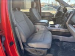 2019 F-150 Thumbnail 11