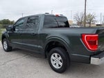 2021 F-150 Thumbnail 5
